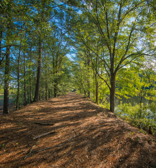 Bass Lake Campground