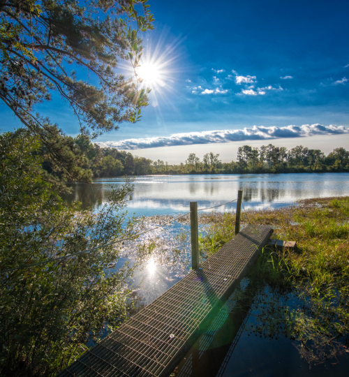 Bass Lake Campground