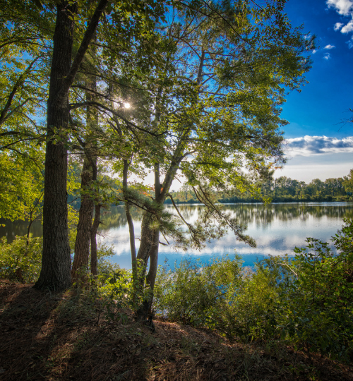 Bass Lake Campground